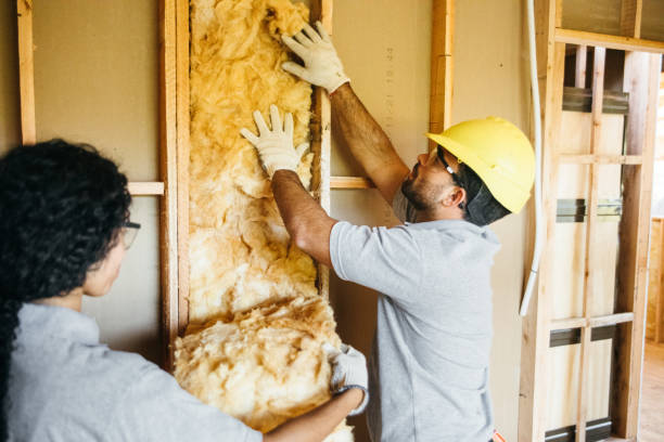 Eco-Friendly Insulation Solutions in Chapman, KS